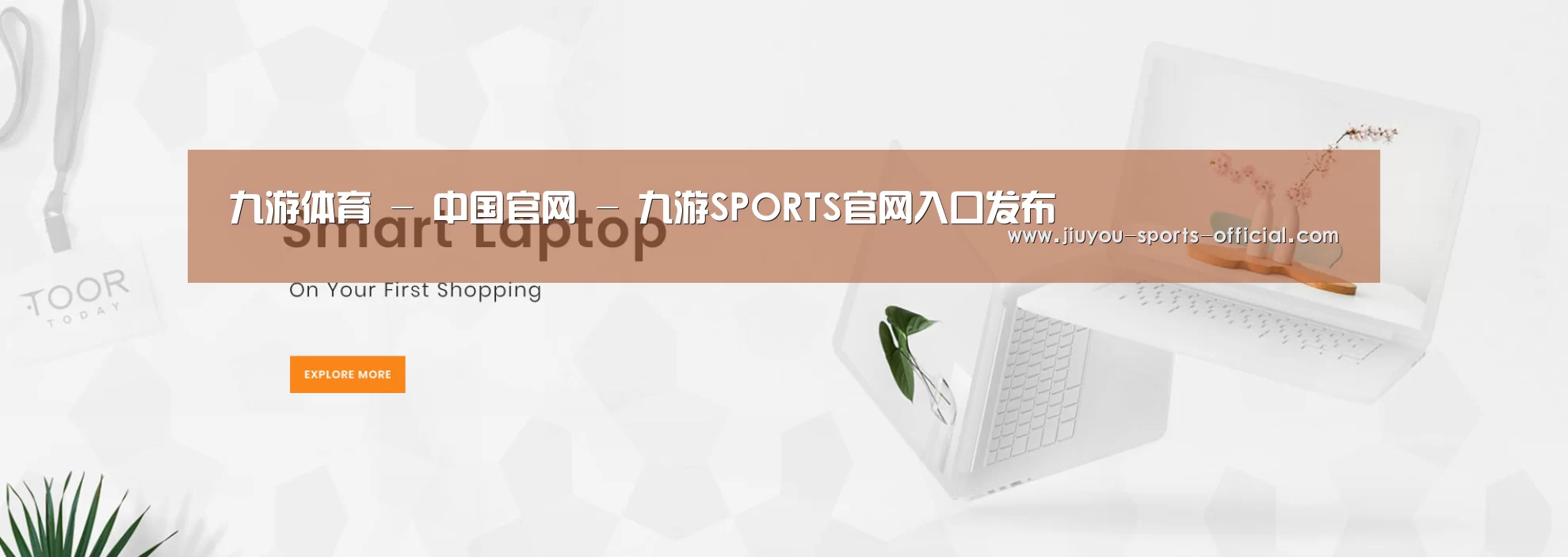 某某网络科技有限公司