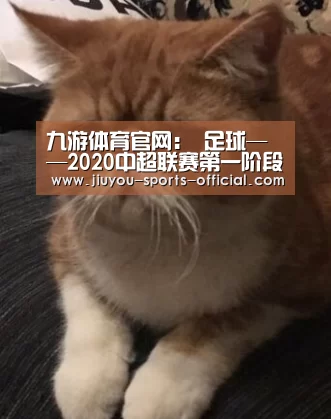 九游体育官网