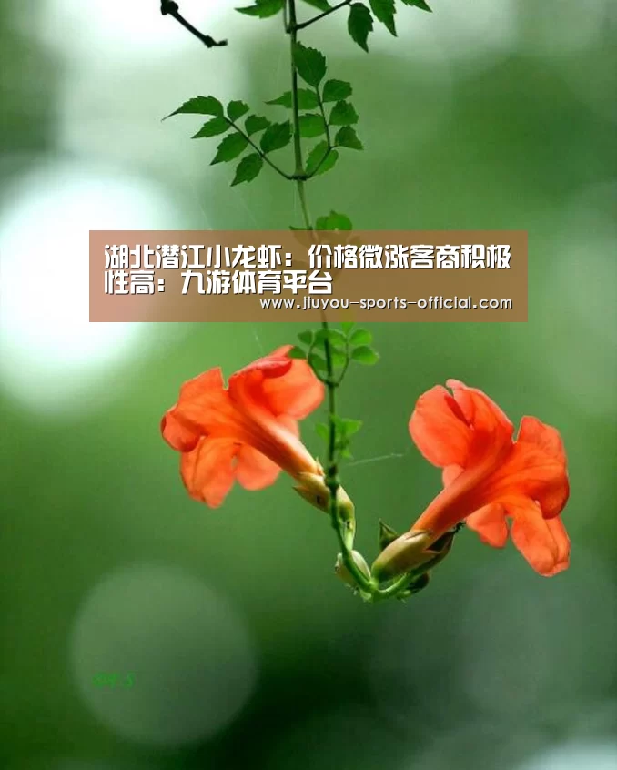 九游体育官网